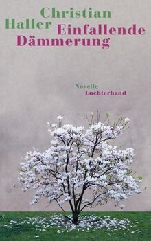 Einfallende dämmerung - einfallende,